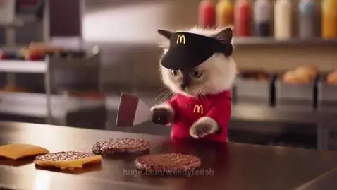 Fluffy kitten wearing a McDonald's uniform and visor, flipping burger patties on a grill in a kitchen.