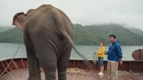 On a boat, elephant does a bottom burp by derivativequaff